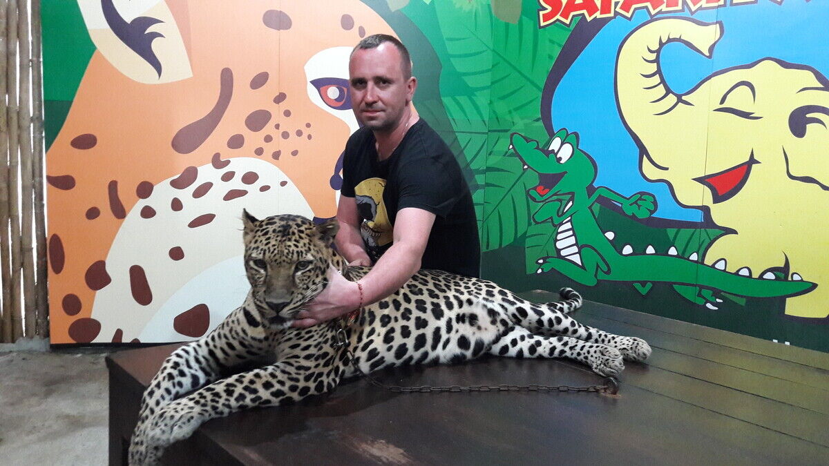 ���������� ������, ���� ������� ������, 45 ���, ������������ ��� ������, ����� � ���������, c�������� ���������