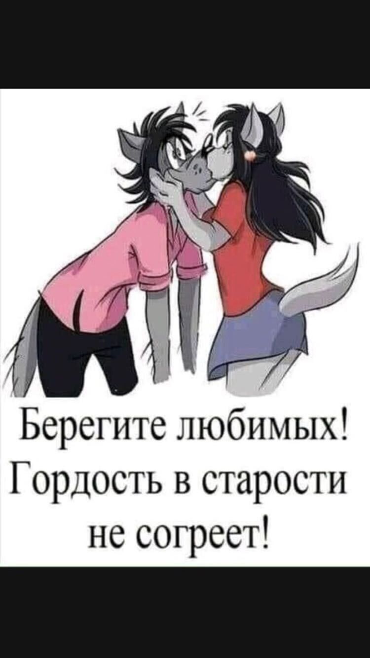   ,   , 53 ,   c 