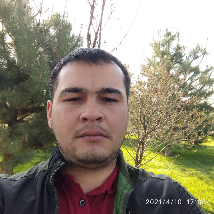  33683766  , 32 ,    