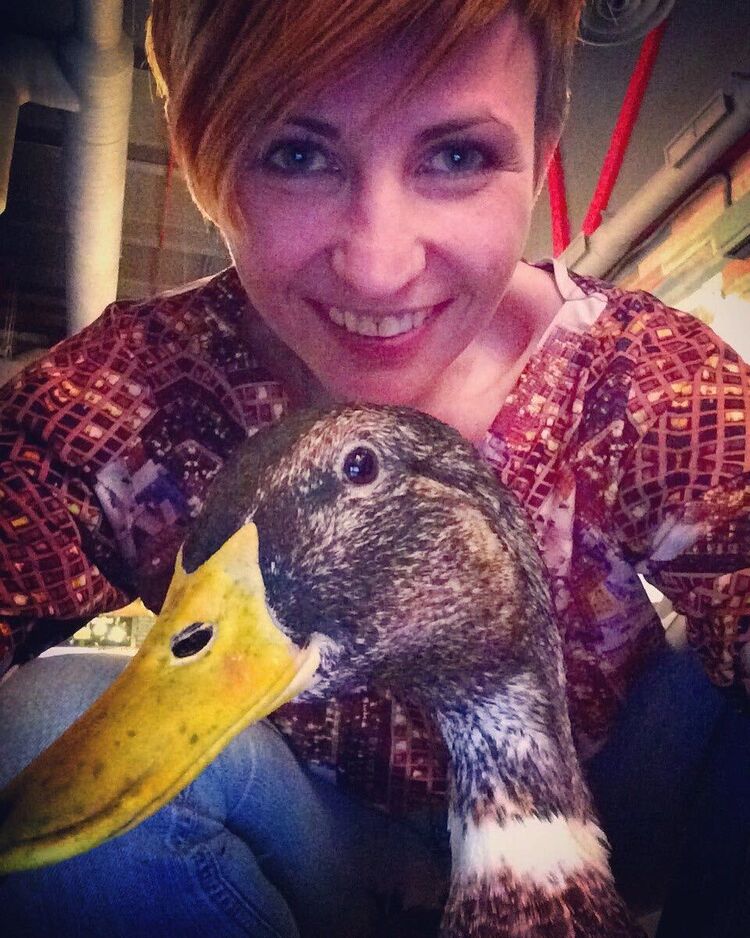  54014106  , 41 ,    -