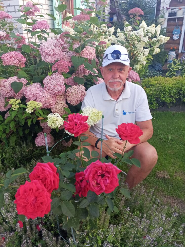 ���� 55738236 ������� �����, 67 ���, ���� ���������� � ������ ���������