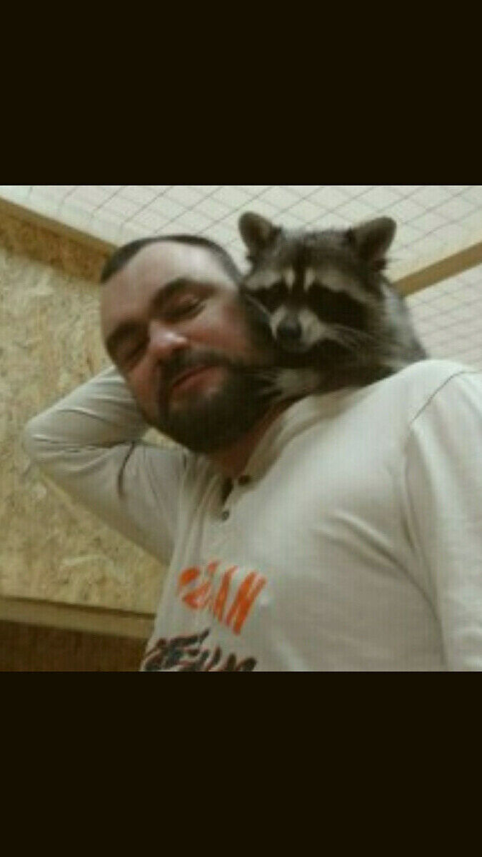 ���� 21977936 ������� ������, 50 ���, ���� ���������� � ������