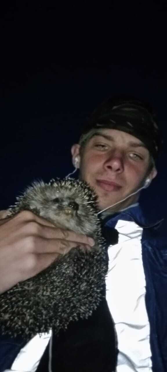 ���������� ������������, ���� ����� ������, 23 ����, ������������ ��� c�������� ���������