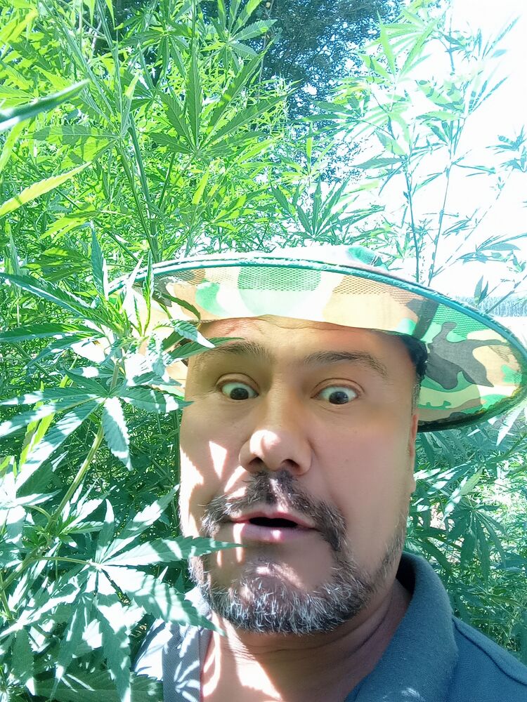 ���������� ������, ���� ������� �����, 36 ���, ������������ ��� ������, ����� � ���������