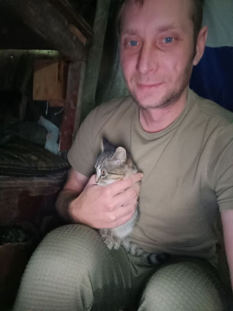 ���� 39866346 ������� �������, 36 ���, ���� ���������� � ���������