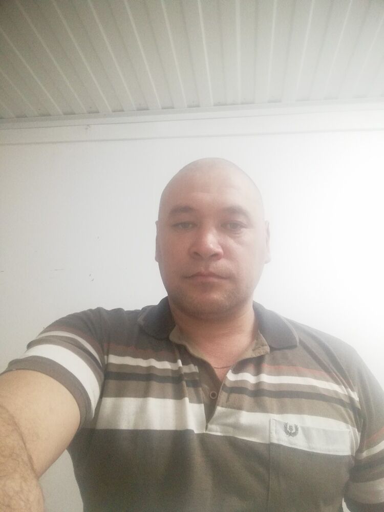  15550816  , 43 ,    