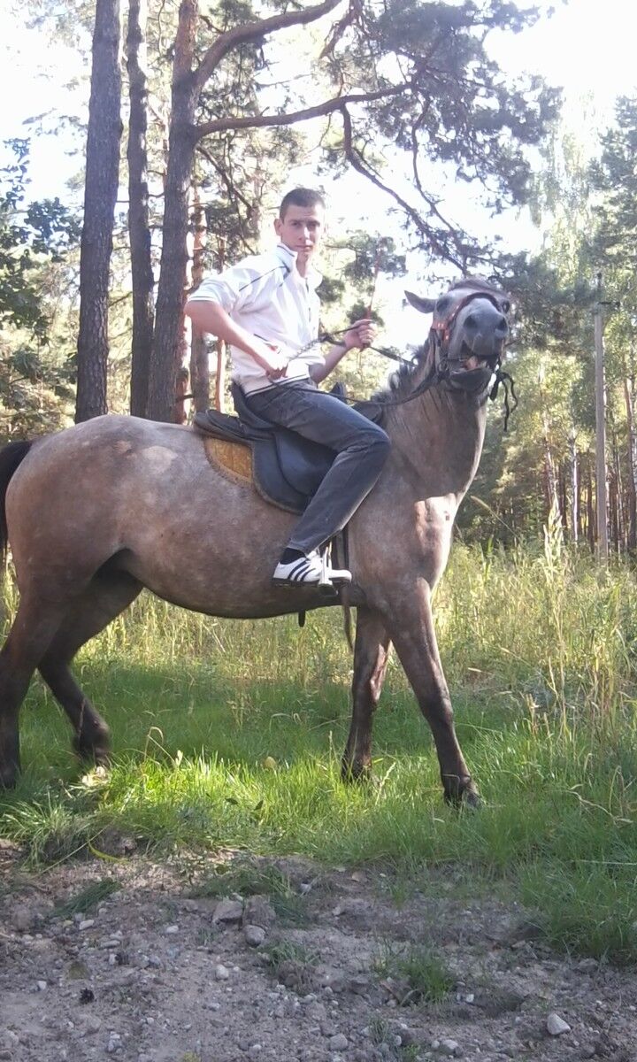 ���������� ������, ���� ������� ������, 34 ����, ������������ ��� ������, ����� � ���������, c�������� ���������