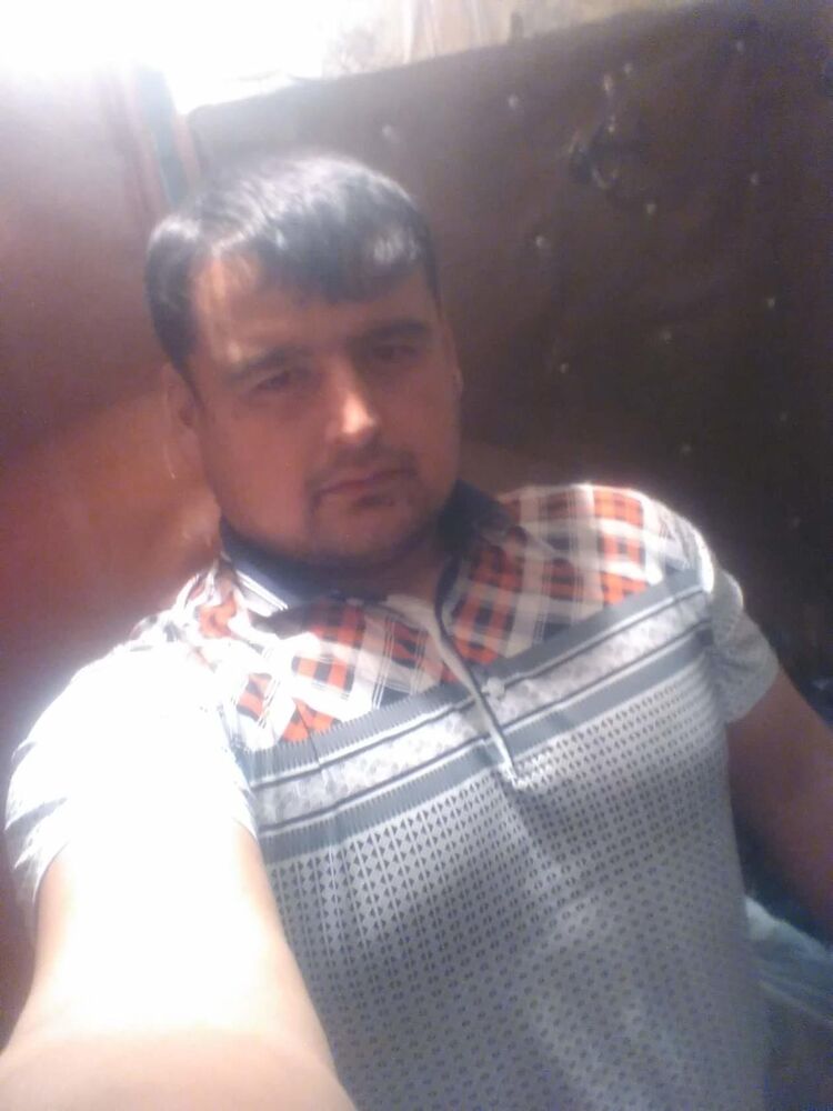  34768396  , 31 ,    
