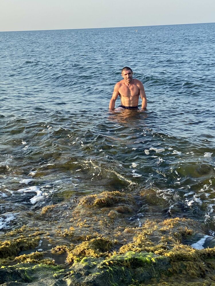 ���������� ����������, ���� ������� ���������, 36 ���, ������������ ��� ������, ����� � ���������