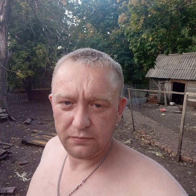  47787666  , 35 ,    