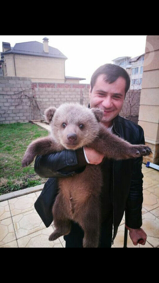 ���� 20851746 ������� �����, 47 ���, ���� ���������� � ���������