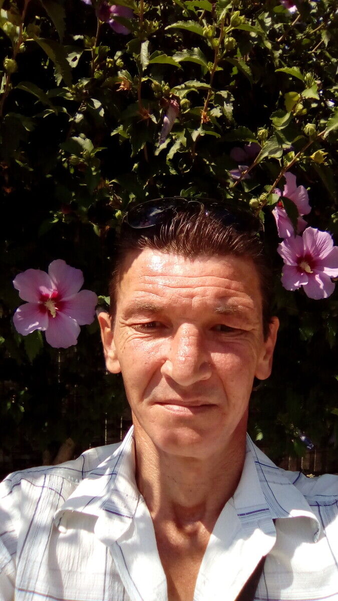 ���������� �����������, ���� ������� �������, 48 ���, ������������ ��� ������, ����� � ���������, c�������� ���������