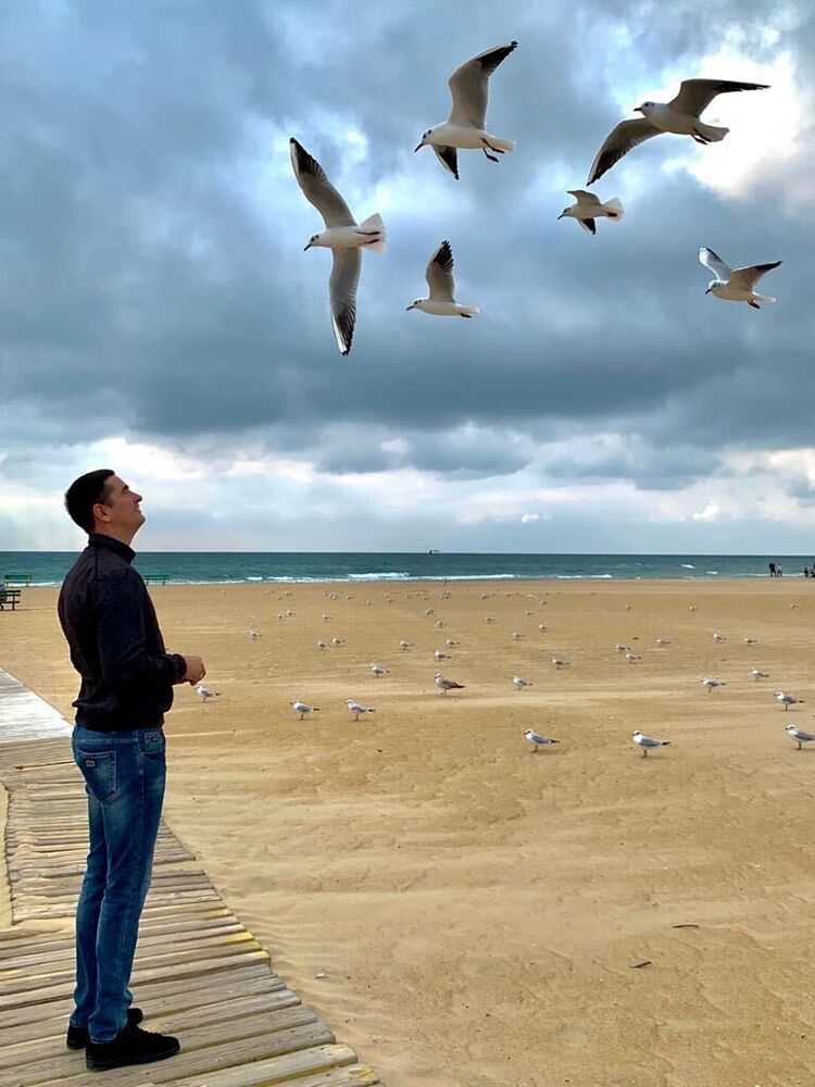 ���� 40151656 ������� �������, 34 ����, ���� ���������� � ������