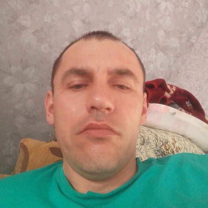  43584216  , 39 ,    