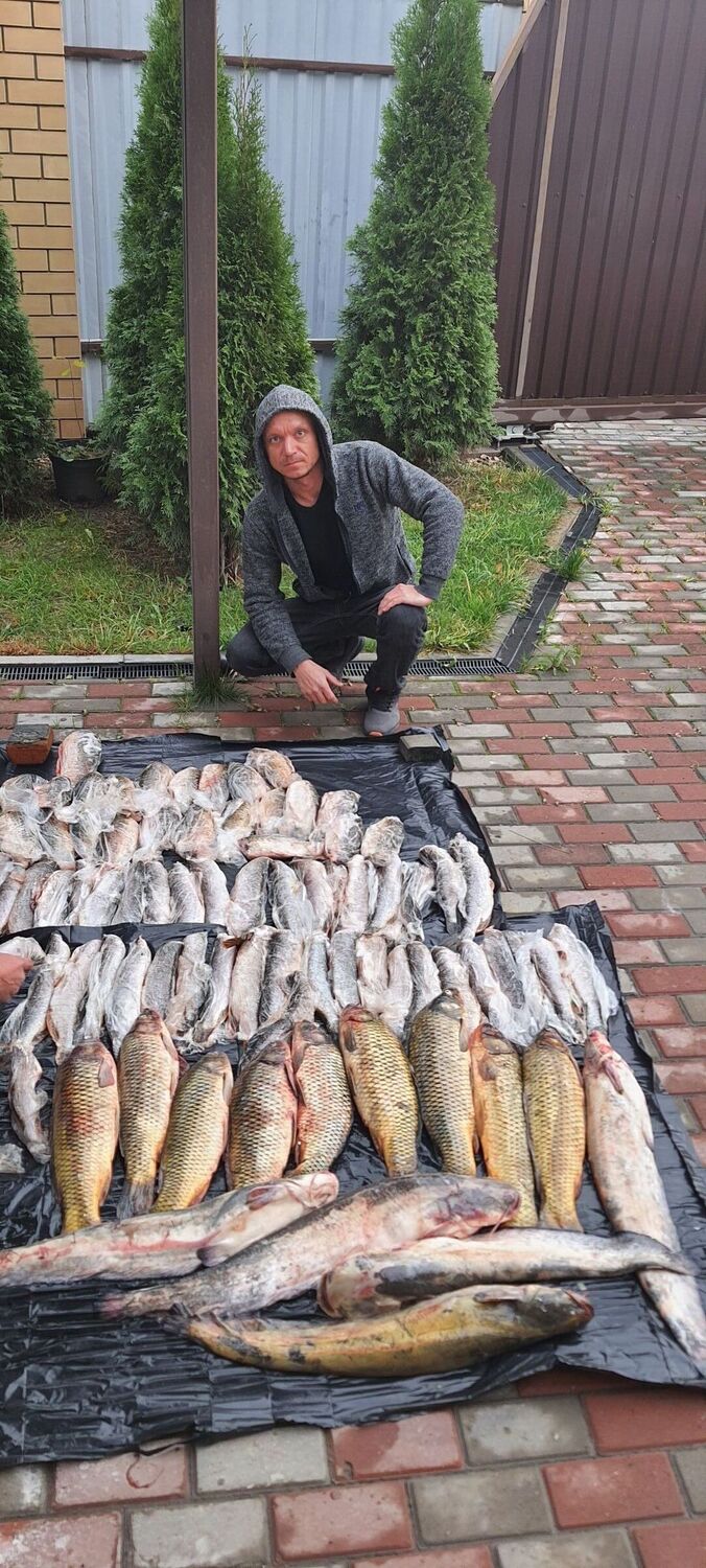 ���������� ������, ���� ������� ������, 38 ���, ������������ ��� ����� � ���������, c�������� ���������