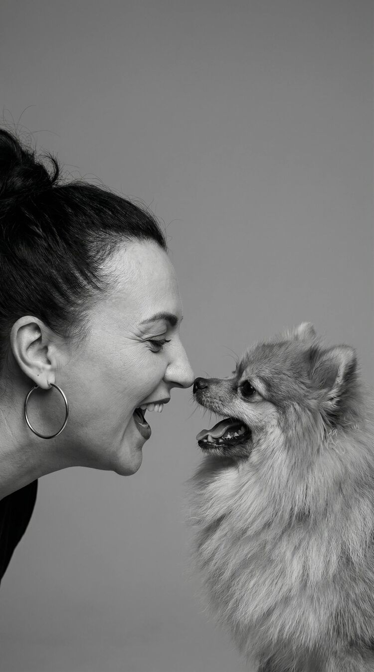 ���� 56217006 ������� �����, 41 ���, ���� ���������� � �����-����������