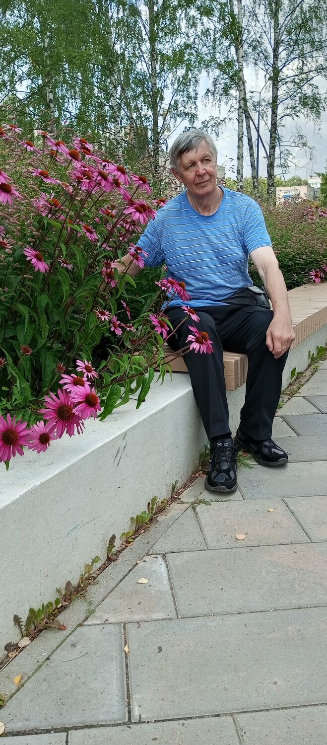  53369786  , 68 ,    -