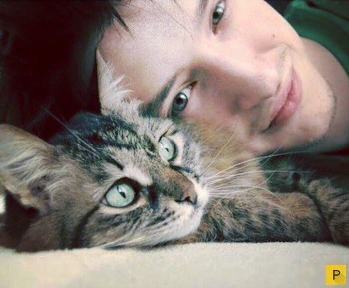 ���������� �����-���������, ���� ������� ���, 46 ���, ������������ ��� ���������