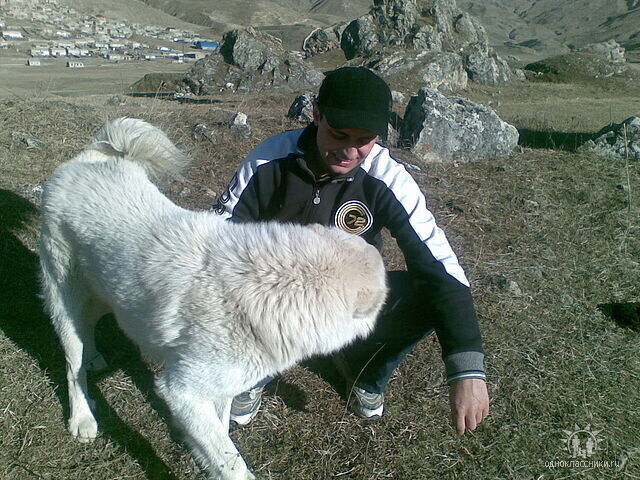 ���� 21427146 ������� �����, 39 ���, ���� ���������� � ������