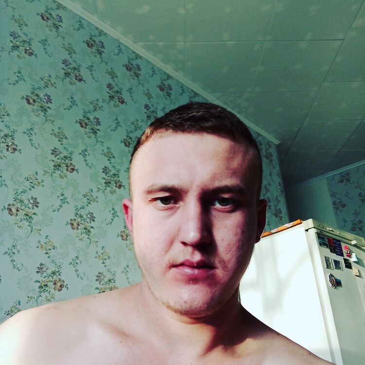  41490806  , 26 ,    
