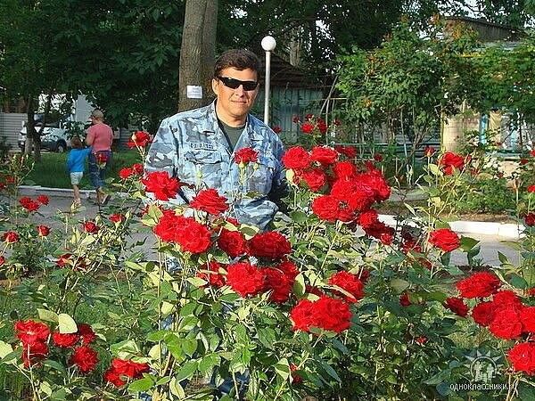 ���� 6147266 ������� A����, 49 ���, ���� ���������� � ���������