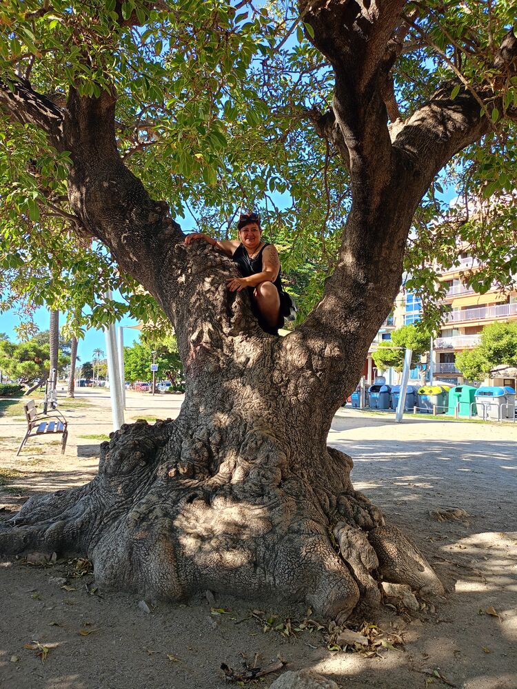  Vilanova i la Geltru,   , 40 ,   