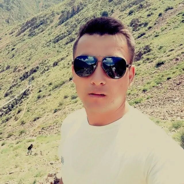  36358706  , 31 ,    