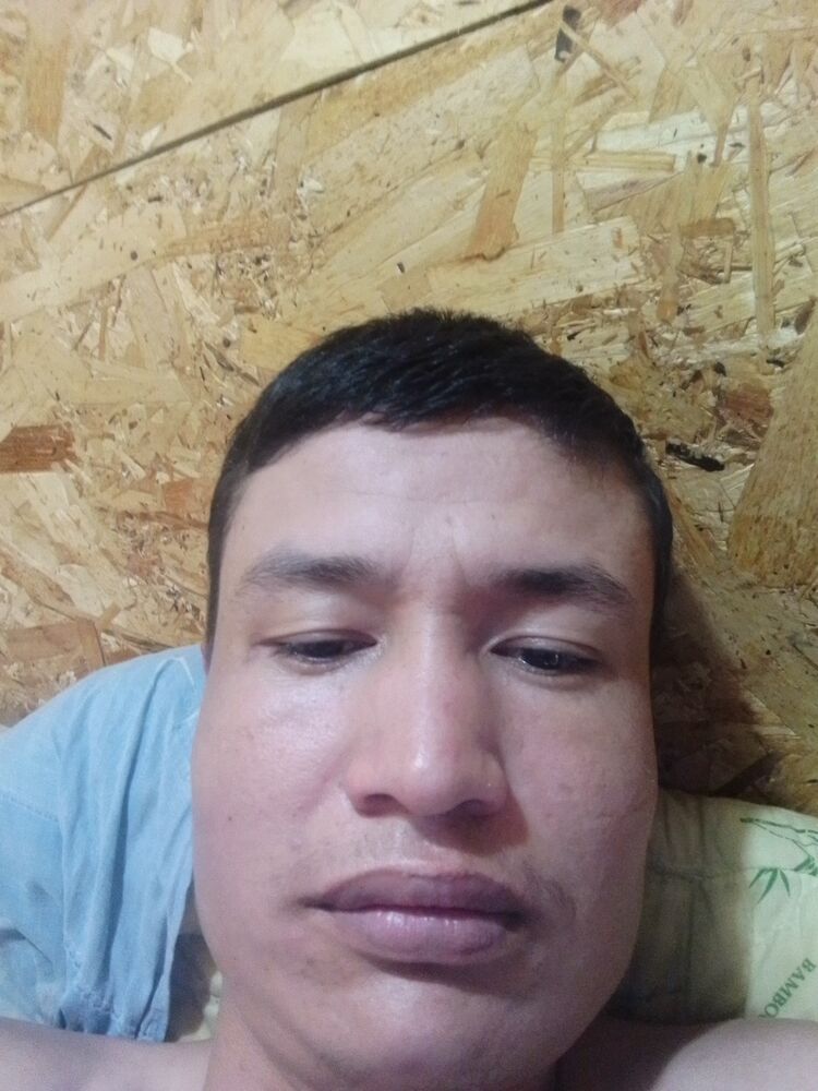  52839666  , 25 ,    