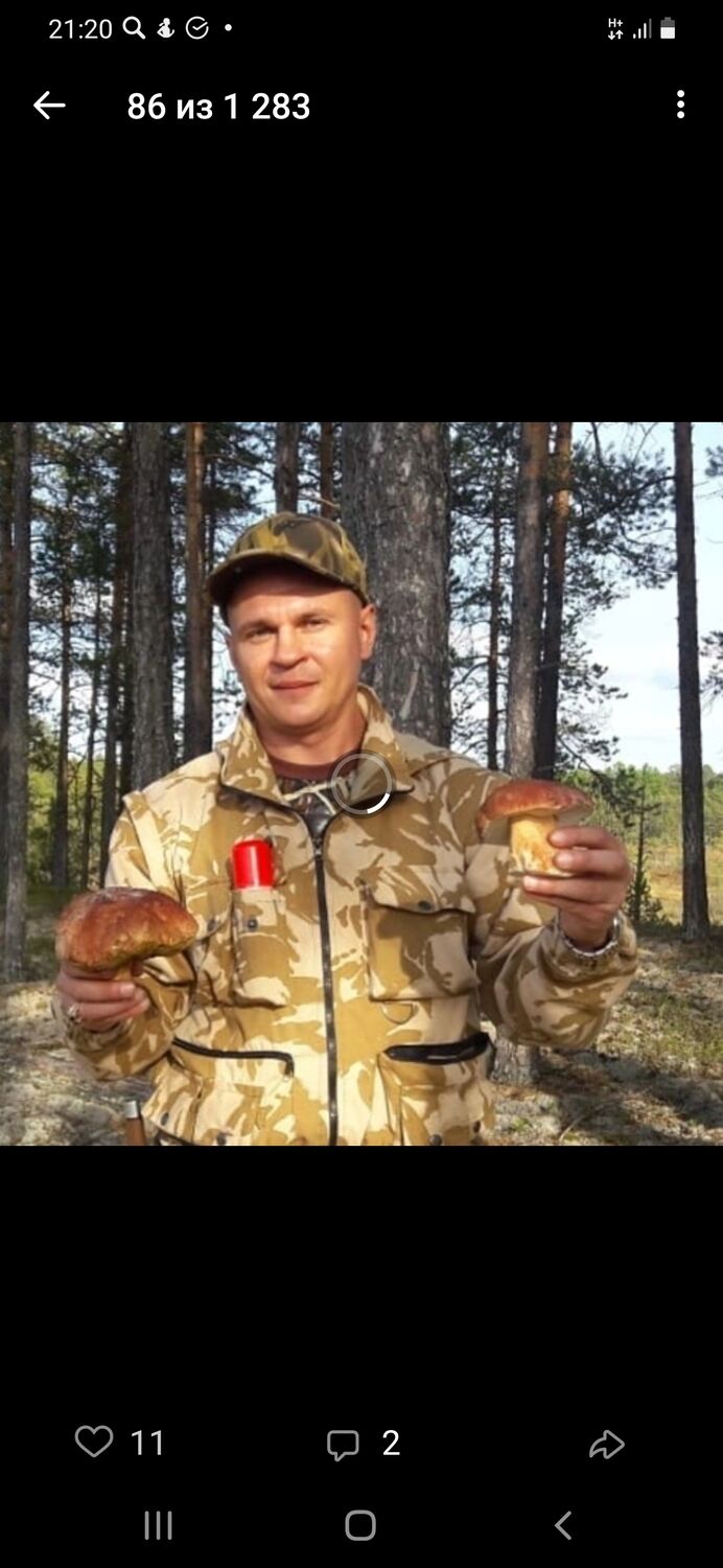 ���������� ������, ���� ������� ������, 46 ���, ������������ ��� ������, ����� � ���������, c�������� ���������, ���������