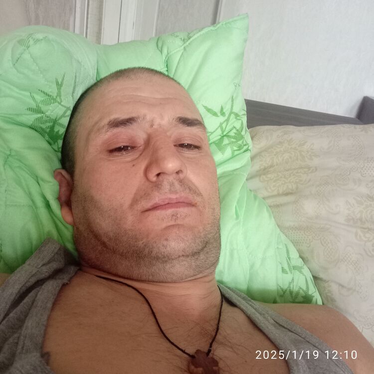  49786406  , 41 ,    