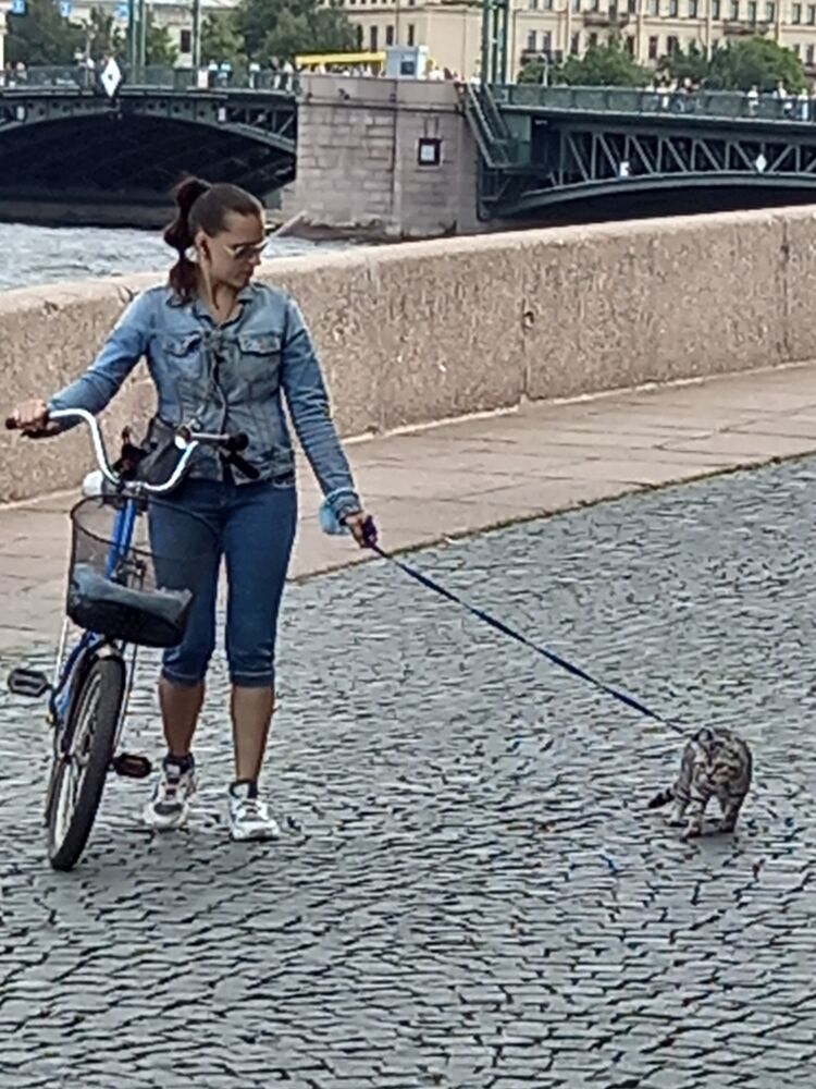 ���� 23710976 ������� �������, 40 ���, ���� ���������� � �����-����������