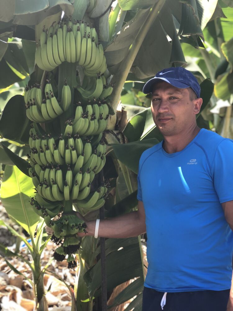 ���� 22640276 ������� ����, 43 ����, ���� ���������� � �����-����������