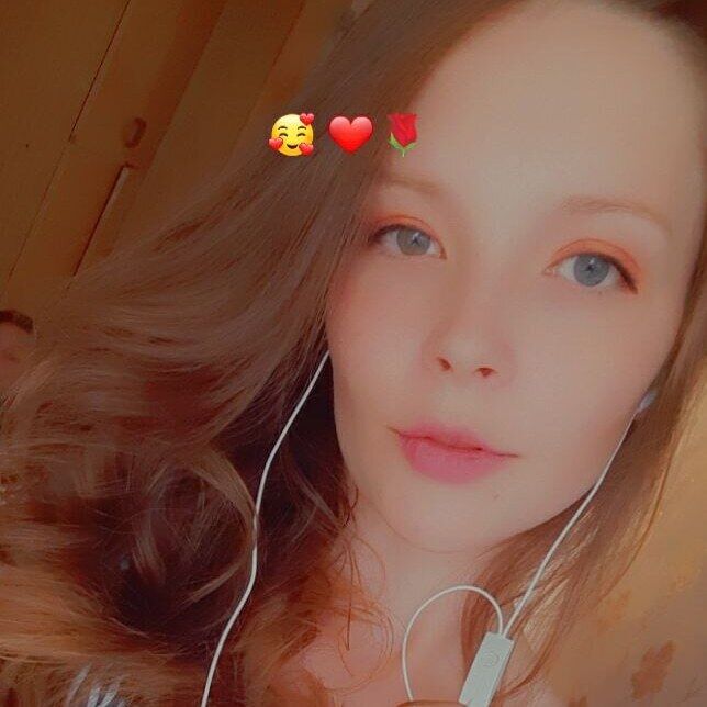  23550796  , 24 ,    