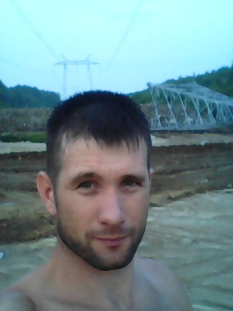  15734626  , 41 ,    