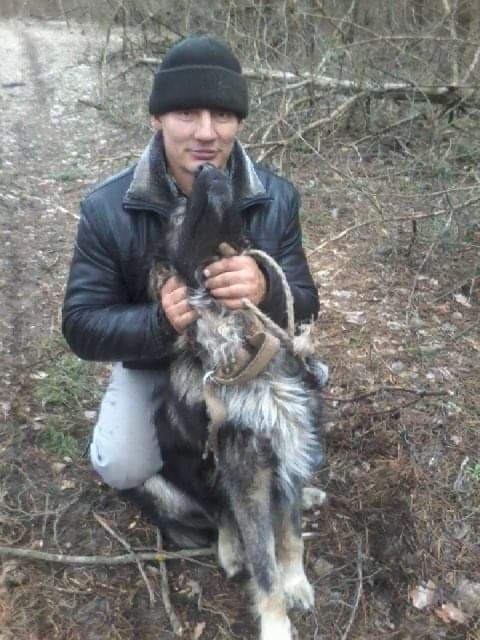 ���������� �������, ���� ������� ������, 54 ����, ������������ ��� ������, ����� � ���������, c�������� ���������