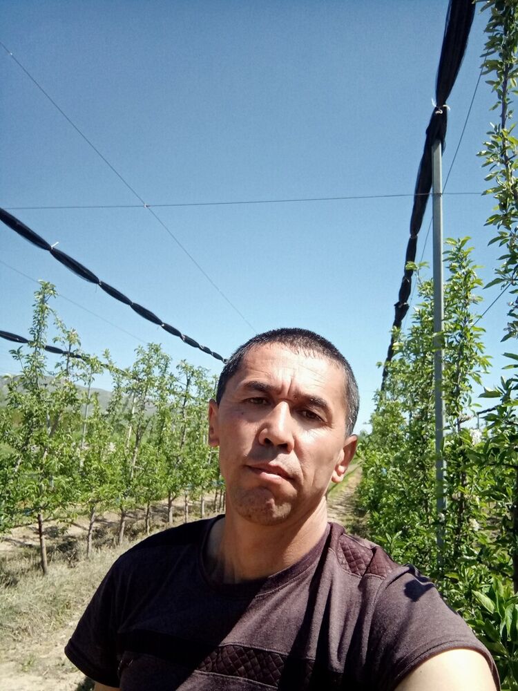  20789696  , 49 ,    