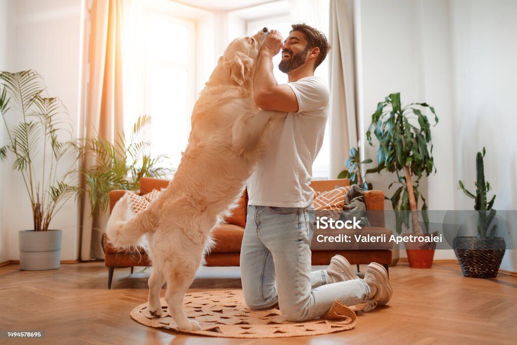 ���� 56199266 ������� Valdemar, 48 ���, ���� ���������� � ������