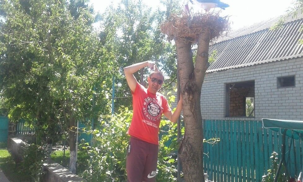 ���������� ��������, ���� ������� �����, 43 ����, ������������ ��� ������, ����� � ���������, c�������� ���������