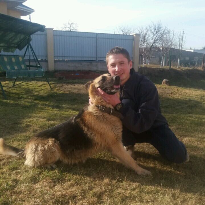 ���� 21546516 ������� ������, 33 ����, ���� ���������� � ������