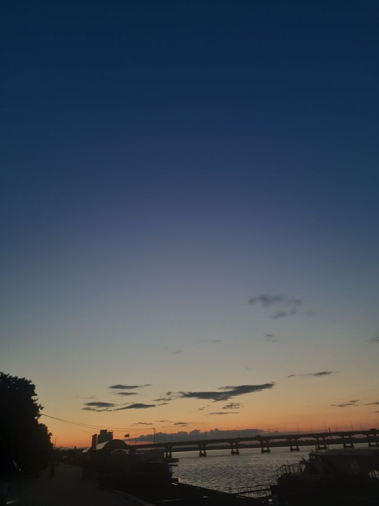  44203166  , 19 ,    