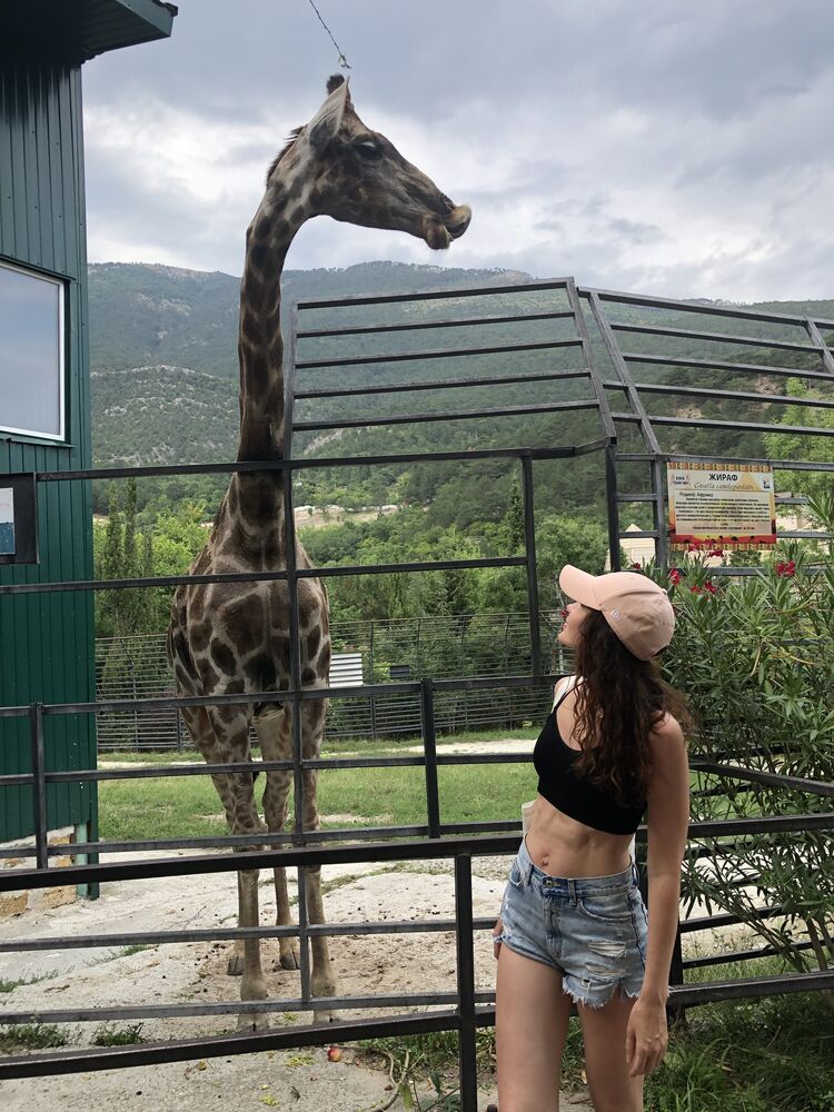 ���������� �����-���������, ���� ������� �������, 42 ����, ������������ ��� c�������� ���������