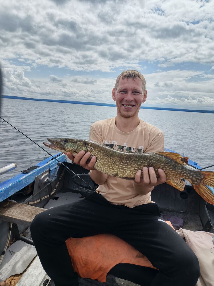 ���� 52618956 ������� ������, 34 ����, ���� ���������� � ����������