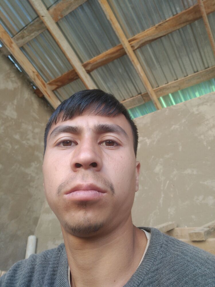 ���� 43174046 ������� Mardon, 28 ���, ���� ���������� � ��������