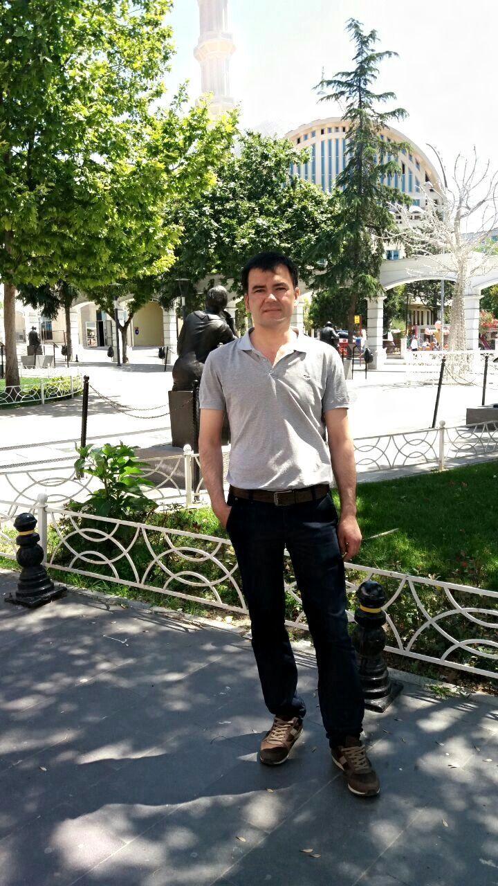  33205396  , 43 ,    -