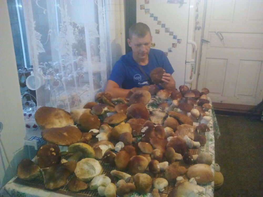  ,   , 48 ,   