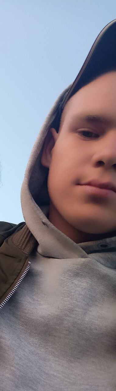  29809436  , 24 ,    -