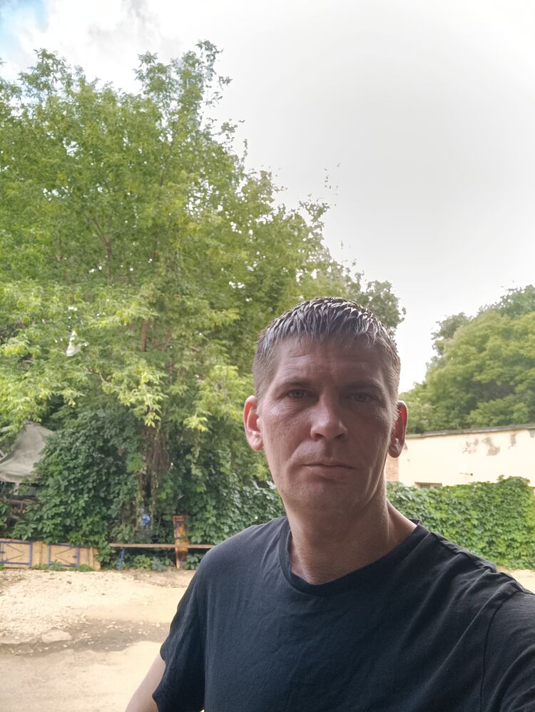 ���� 44242486 ������� ���������, 36 ���, ���� ���������� � ������