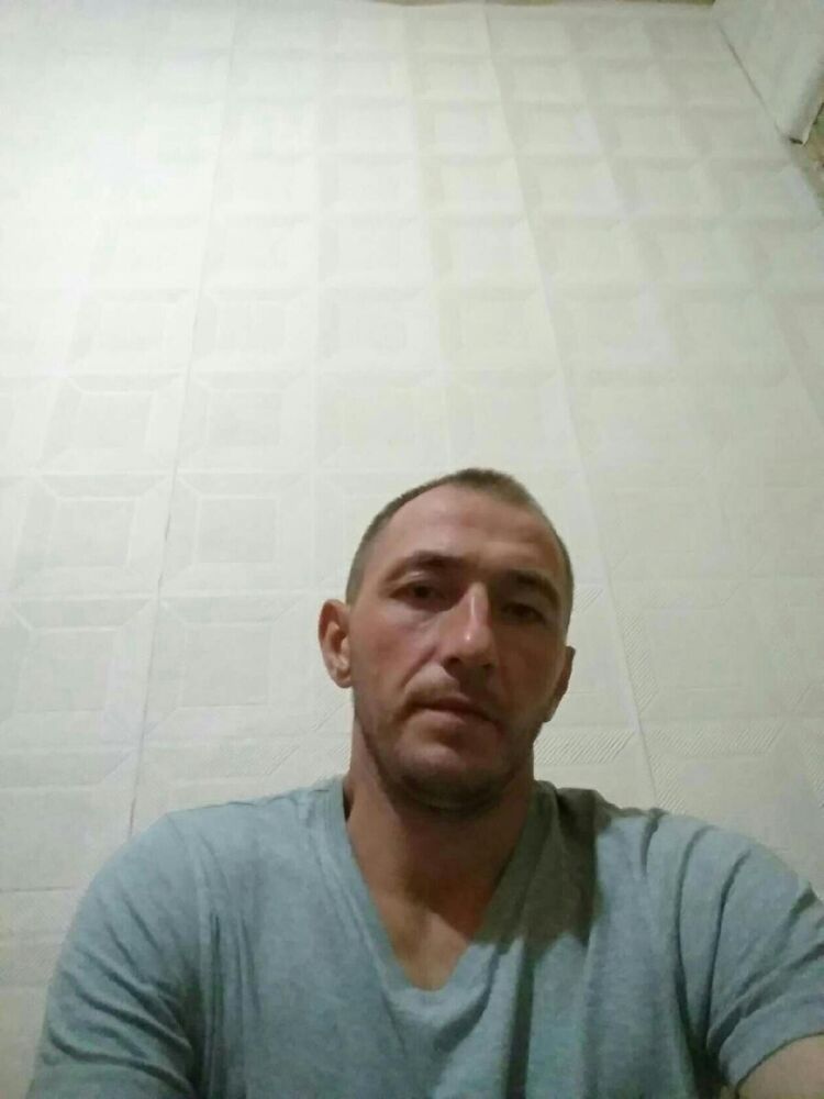  31331686  Alexandr, 39 ,    