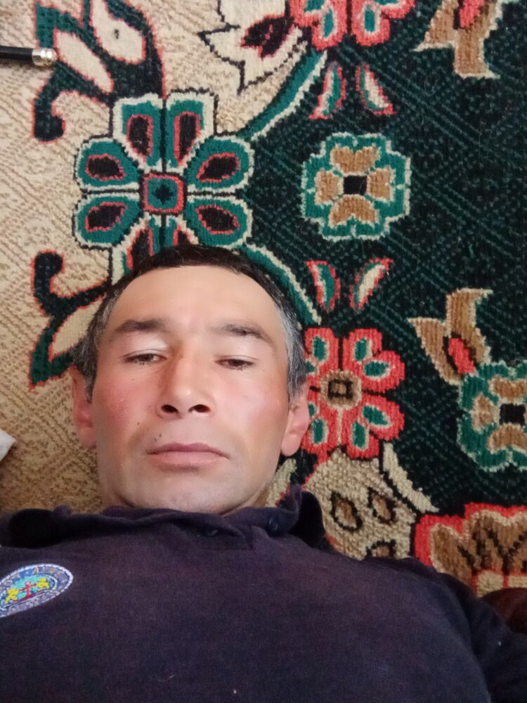  23421076  , 44 ,    