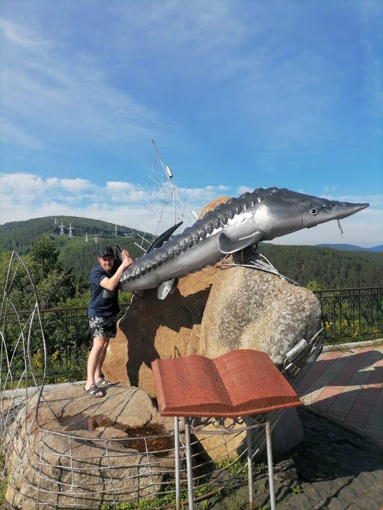  49488986  , 45 ,    